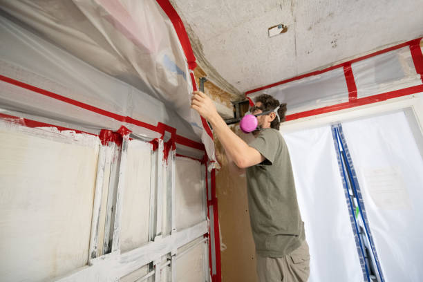 Best HVAC Mold Inspection and Cleaning  in Eunice, LA